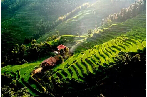 韓茂莉:美洲來的玉米番薯創(chuàng)造了康乾盛世？(圖3)