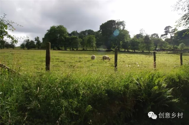 英國鄉(xiāng)村旅游的核心競爭力(圖13)