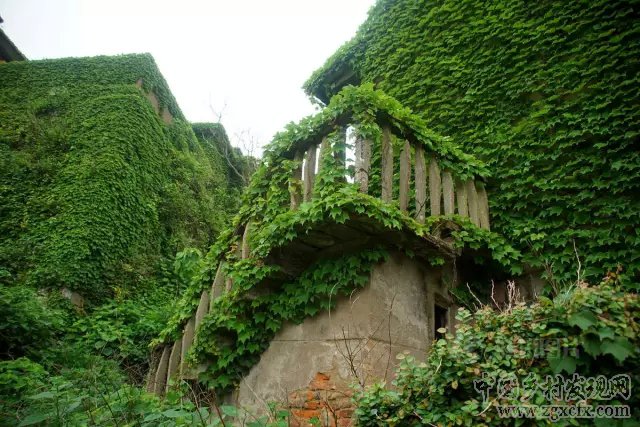 驚艷全球的中國最美村落，只是從前沒人知道(圖15)