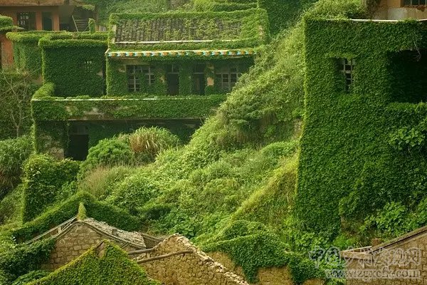 驚艷全球的中國最美村落，只是從前沒人知道(圖16)