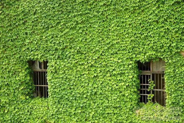 驚艷全球的中國最美村落，只是從前沒人知道(圖14)