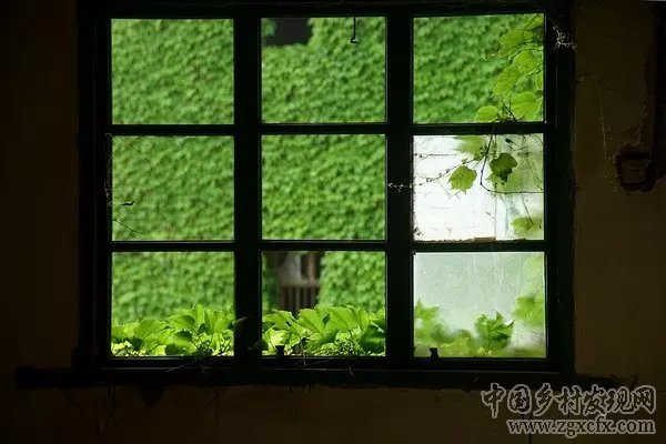 驚艷全球的中國最美村落，只是從前沒人知道(圖8)