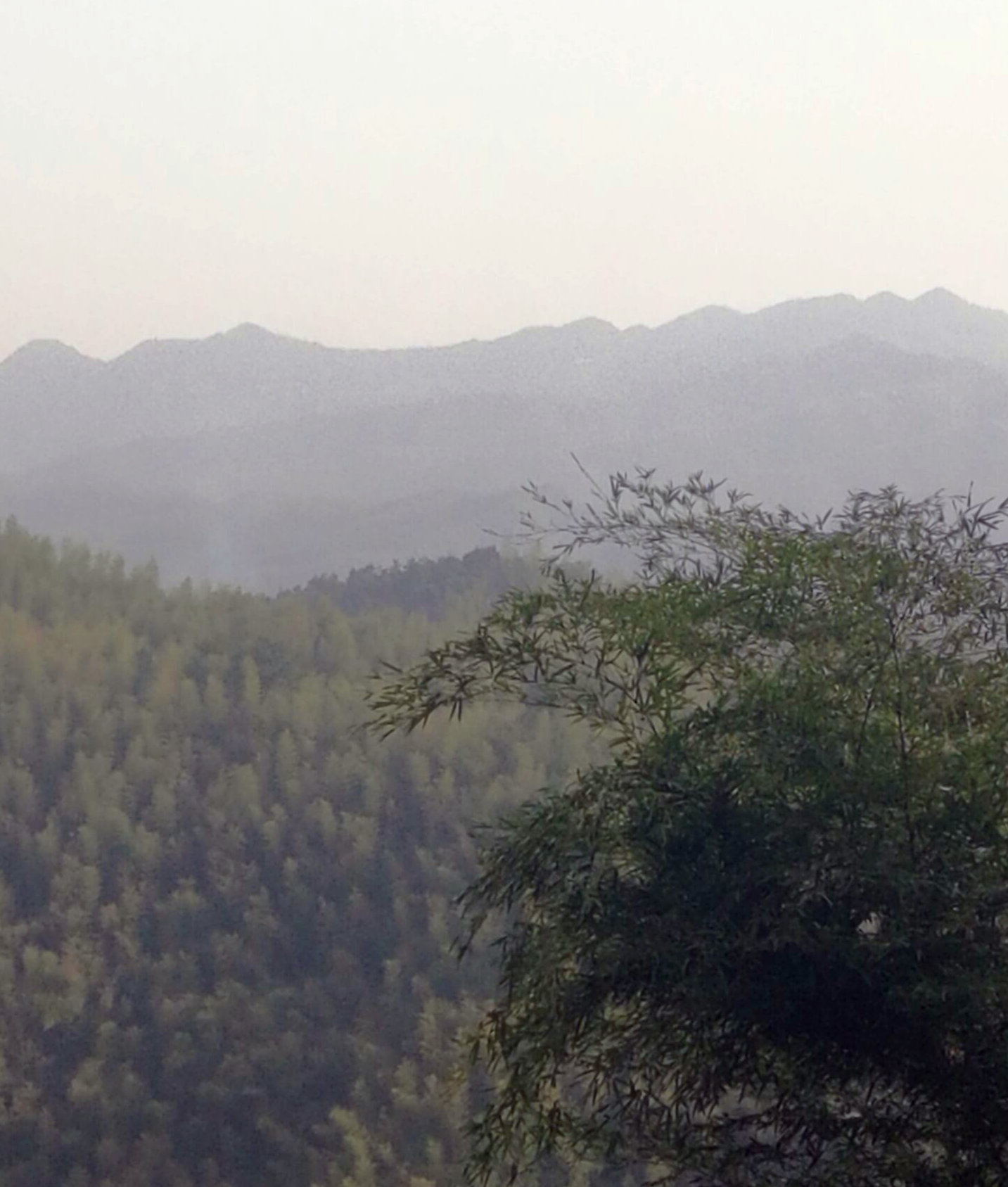 陳文勝:家鄉(xiāng)的村莊發(fā)生了百年巨變(圖2)