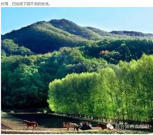 30年前的中國(guó)村落(圖2) 30年前的中國(guó)村落(圖2)