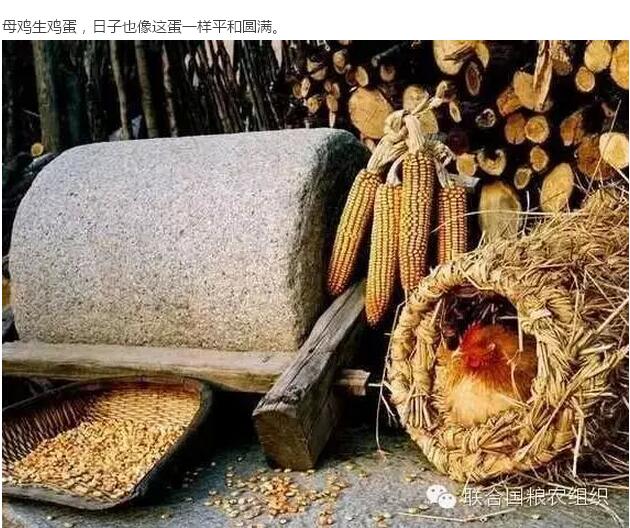 30年前的中國(guó)村落(圖11) 30年前的中國(guó)村落(圖11)