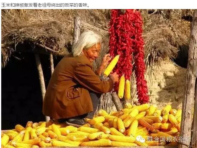 30年前的中國(guó)村落(圖10) 30年前的中國(guó)村落(圖10)