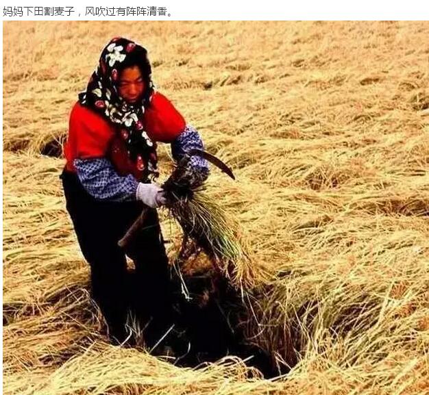 30年前的中國(guó)村落(圖12) 30年前的中國(guó)村落(圖12)