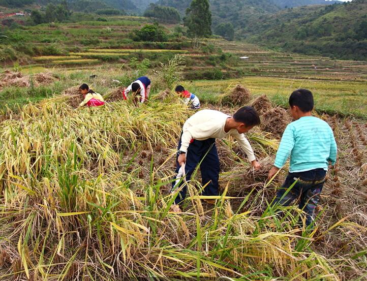 假期里的農(nóng)村小孩(圖3)
