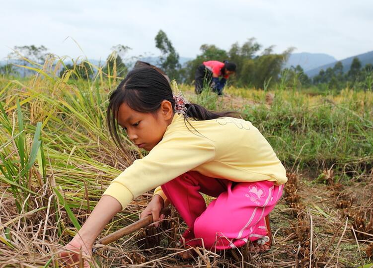 假期里的農(nóng)村小孩(圖5)