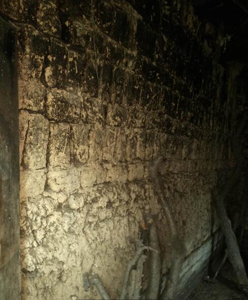 農(nóng)村僅存的土房子(圖6)