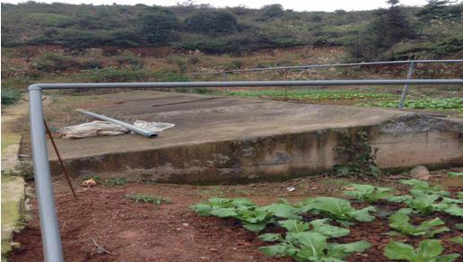 應(yīng)用農(nóng)業(yè)生態(tài)系統(tǒng)原理解決豬場(chǎng)污染問(wèn)題(圖3)