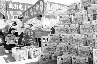 一個合作社的曲折產(chǎn)業(yè)融合路(圖1)