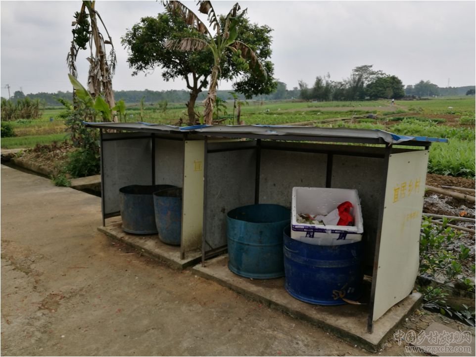 朱玲:關(guān)注農(nóng)村污染治理中的制度、 技術(shù)和財(cái)務(wù)需求(圖6)