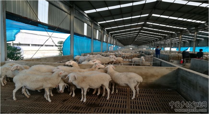 朱玲:關(guān)注農(nóng)村污染治理中的制度、 技術(shù)和財(cái)務(wù)需求(圖2)