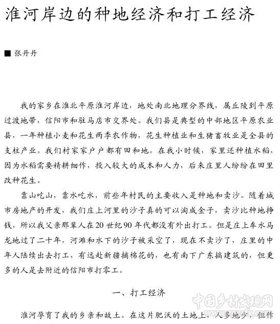 張丹丹:淮河岸邊的種地經(jīng)濟(jì)和打工經(jīng)濟(jì)(圖1)