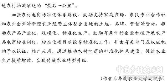 溫思美:電商進(jìn)村還需邁過多道坎(圖3)