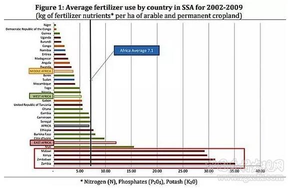 為什么坦桑尼亞農(nóng)民不使用化肥(圖2) 88.jpg