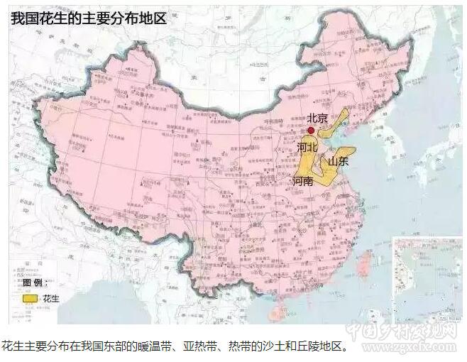 瞿衛(wèi)國:中國農(nóng)業(yè)地理地圖及各地區(qū)農(nóng)業(yè)發(fā)展特色分析(圖10)