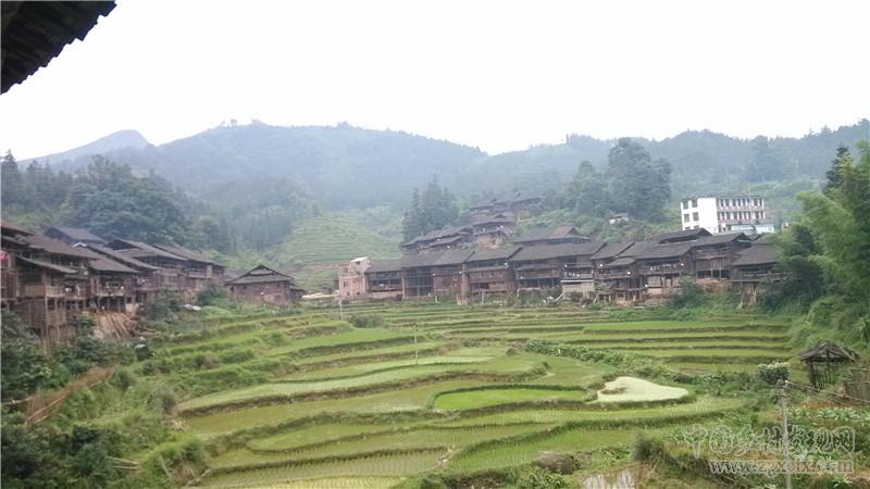 從江縣斗里鎮(zhèn)苗鄉(xiāng)侗寨風情濃(圖12)