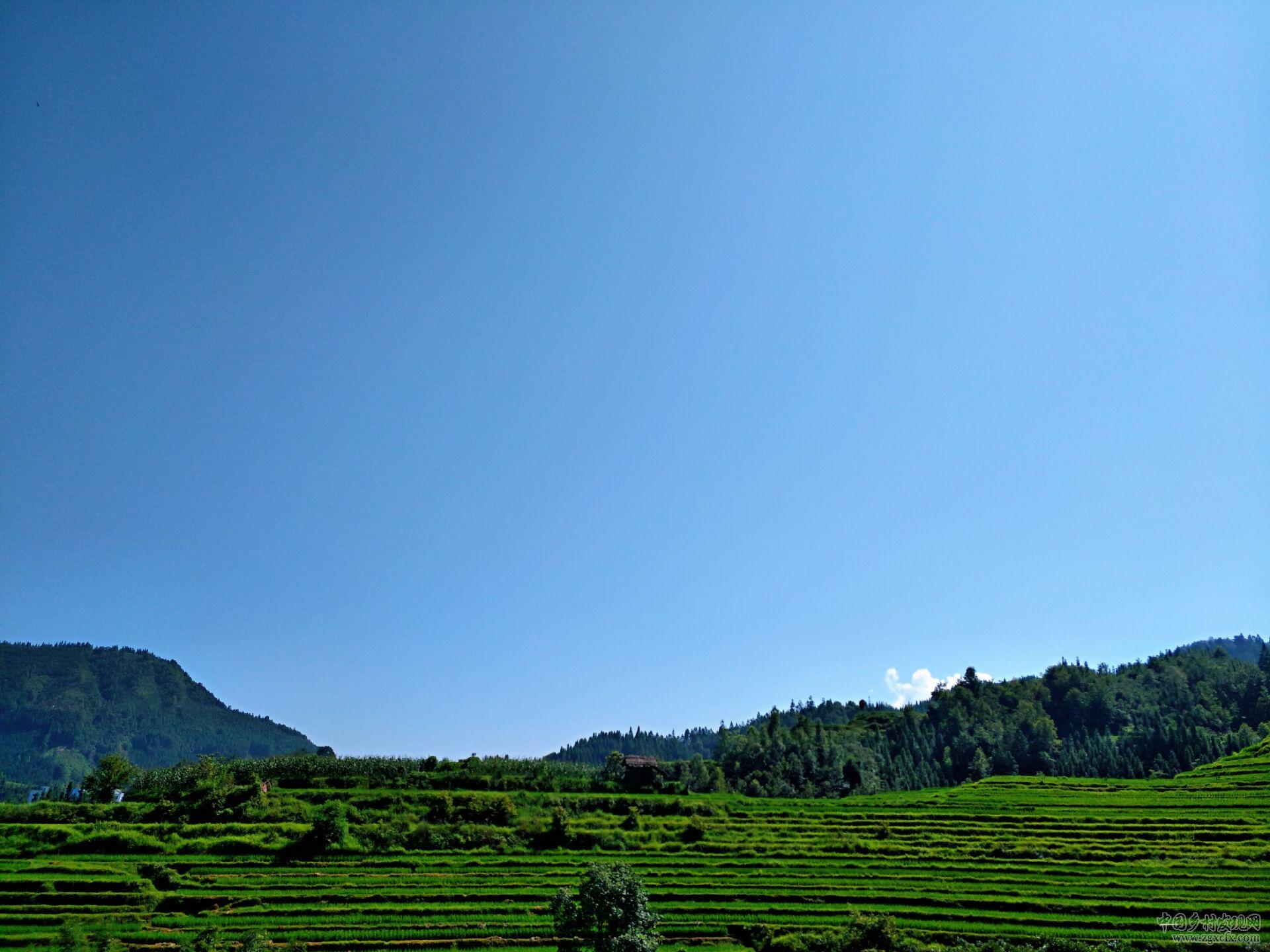 美麗壯鄉(xiāng)書寫農(nóng)村新生活(圖9)