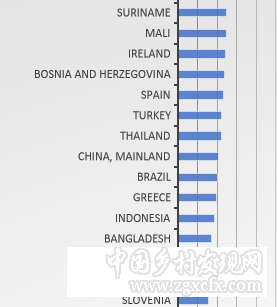 兔透射:中國農(nóng)業(yè)產(chǎn)量之謎(圖11)