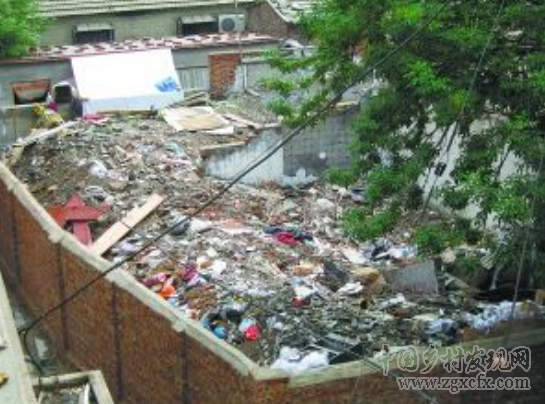 垃圾圍村、田佳良事件與國民性改造(圖5)