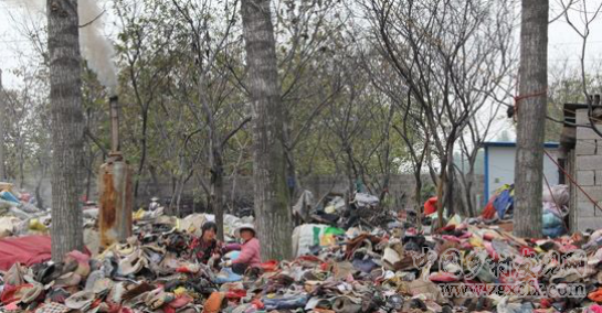 垃圾圍村、田佳良事件與國民性改造(圖6)