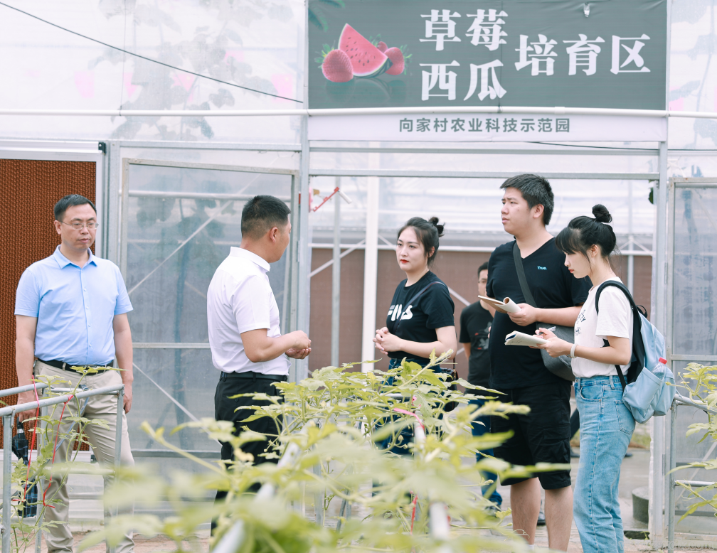 陳重黎:對(duì)鄉(xiāng)村振興鄉(xiāng)賢模式的可持續(xù)性思考(圖6)