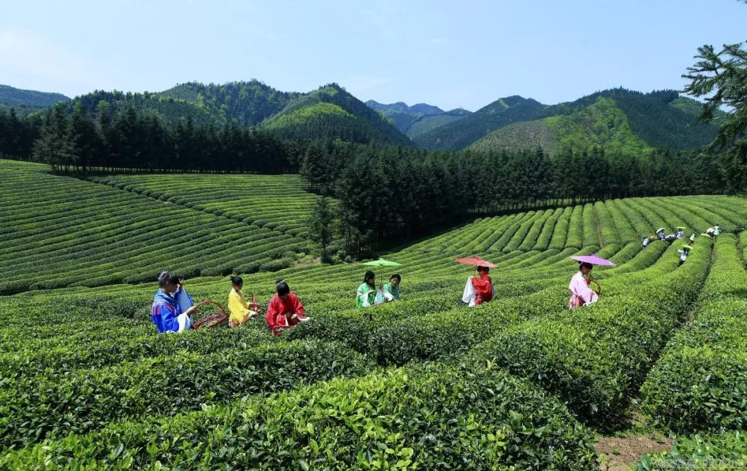 湖南鄉(xiāng)村振興報告|永州市2022年鄉(xiāng)村振興研究報告(圖4) 3.png