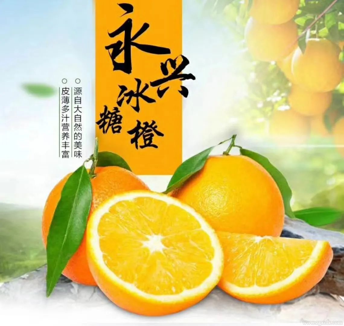 湖南鄉(xiāng)村振興報(bào)告|郴州市2022年鄉(xiāng)村振興研究報(bào)告(圖1) 微信圖片_20220907194113.jpg