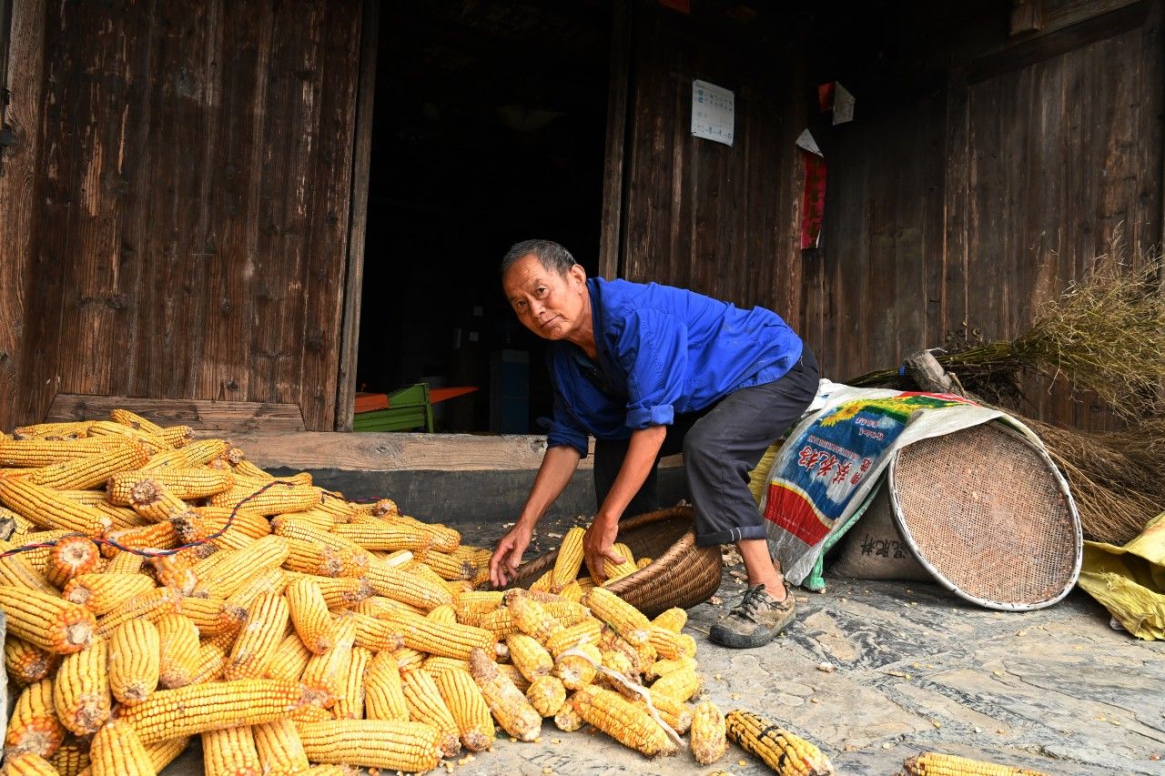 楊泰波:對農(nóng)村調(diào)查的看法(圖1)