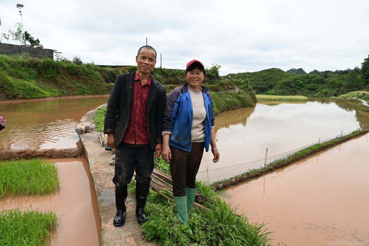楊泰波:對農(nóng)村調(diào)查的看法(圖5)