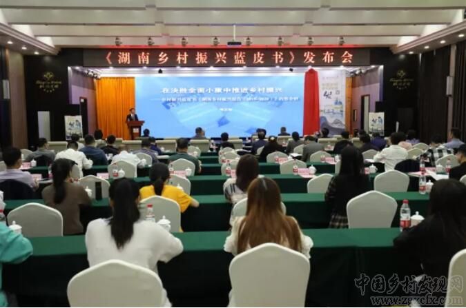 《湖南鄉(xiāng)村振興藍皮書》發(fā)布會隆重舉行(圖1)