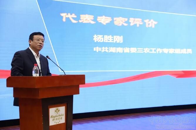 《湖南鄉(xiāng)村振興藍皮書》發(fā)布會隆重舉行(圖9)