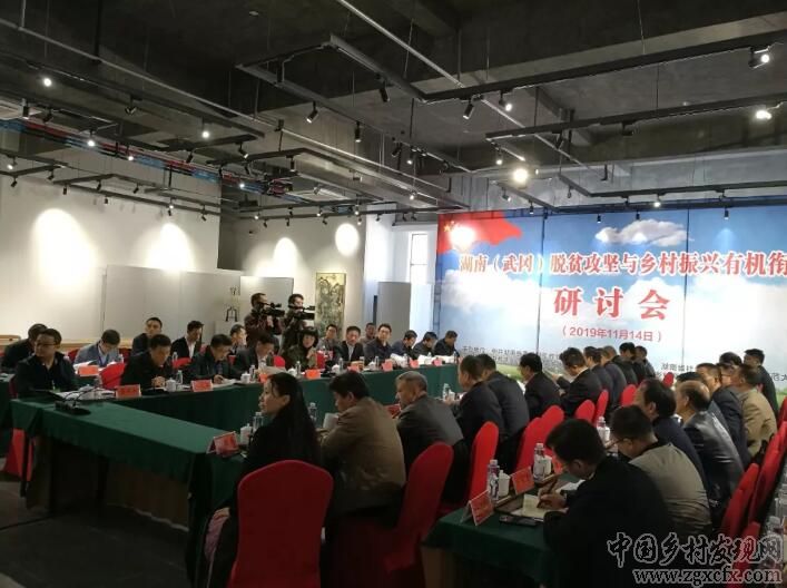 "脫貧攻堅(jiān)與鄉(xiāng)村振興有機(jī)銜接"研討會(huì)在武岡舉行(圖1)