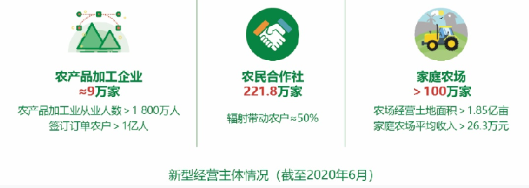 農(nóng)業(yè)農(nóng)村部發(fā)布“十三五”時期農(nóng)業(yè)現(xiàn)代化發(fā)展情況報告（附全文）(圖8)